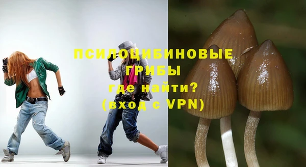 хмурый Алексин