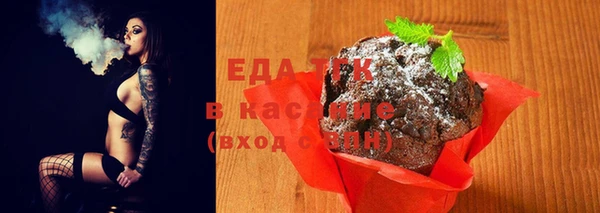 хмурый Алексин