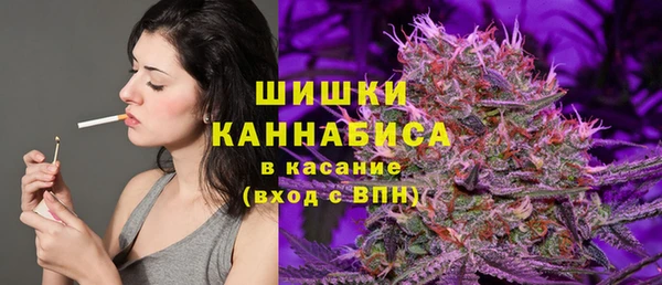 дмт Алзамай