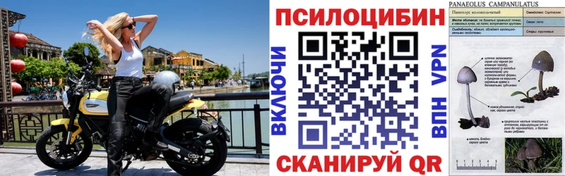Псилоцибиновые грибы GOLDEN TEACHER закладки Сольцы